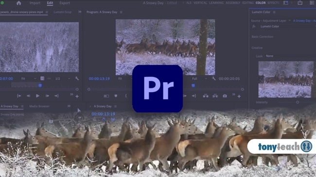 Скачать с Яндекс диска Udemy – Learn Premiere Pro: Video Editing for Absolute Beginners
