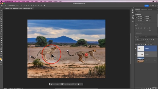 Скачать с Яндекс диска Udemy – Learn the Basics of Adobe Photoshop for your Creative Flow