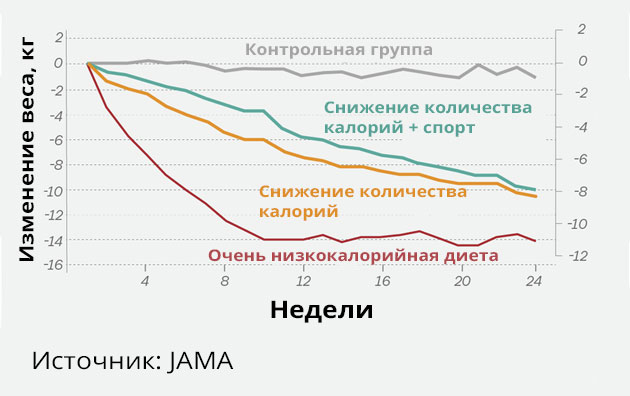 Почему занятия спортом практически не помогают похудеть